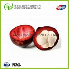 Wholesale Top Quality Factory Supply Mangosteen Extract Powder