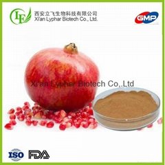 High Quality Wholesale OEM Cosmetic Grade Pomegranate Peel Extract 
