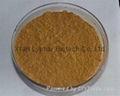 Wholesales Herbal  Food Grade Milk Thistle Extract OEM 2