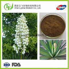 Lyphar Manufacturer Wholesale  Herbal Yucca Shidigero Extract Powder