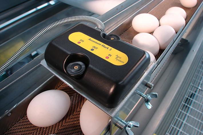 進口雞蛋計數器，中央雞蛋線用雞蛋計數器 3