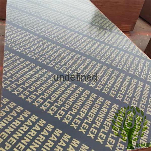 Yelintong good quality film faced plywood WBP glue more than 12 times reused