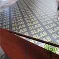 Yelintong  WBP glue marine plywood black and brown film can be done 4