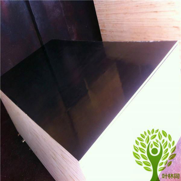 Yelintong  constrution film faced shuttering plywood with code melamine glue 