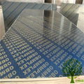Yelintong  super big size film faced plywood 1500*3600mm 3
