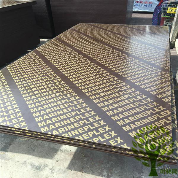 Yelintong  super big size film faced plywood 1500*3600mm 4