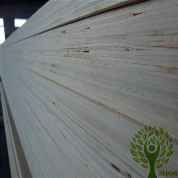 Yelintong good quality poplar lvl for door frame and door core 3