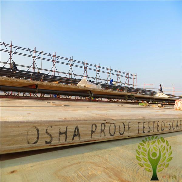 Yelintong best price OSHA pine lvl scaffolding plank real WBP glue 4