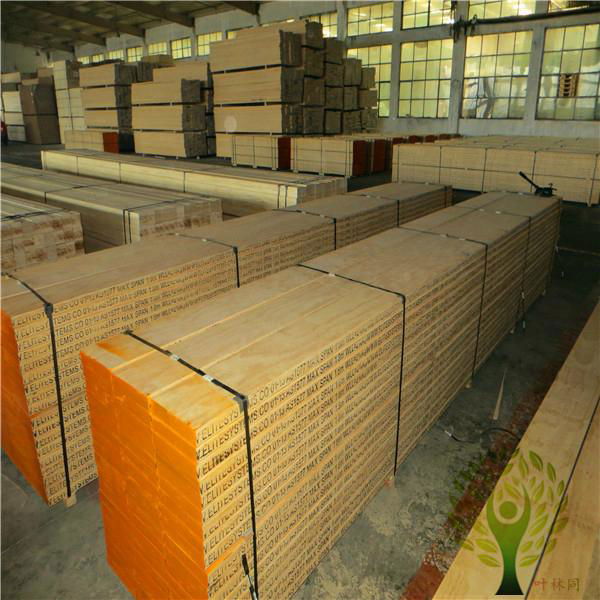 Yelintong best price OSHA pine lvl scaffolding plank real WBP glue 5