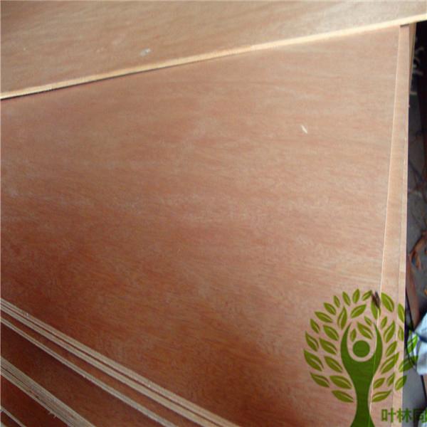 Yelintong best price commercial plywood okoume and poplar and gurjan faced 5