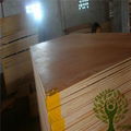 Yelintong best price Gurjan plywood and Keruing plywood for India market 2