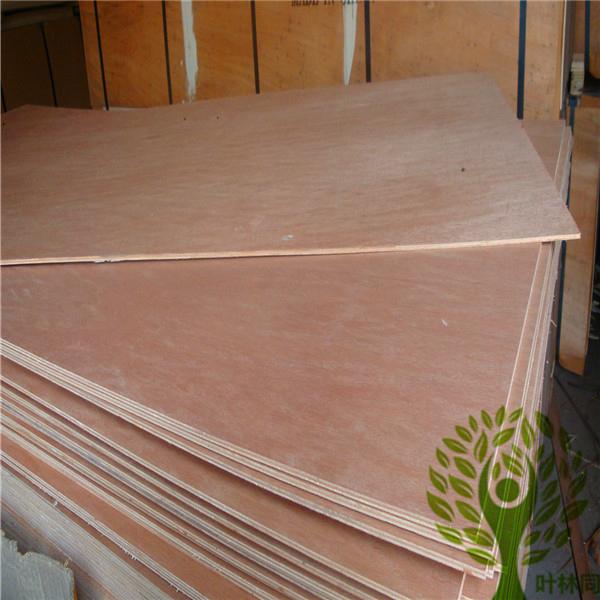 Yelintong best price Gurjan plywood and Keruing plywood for India market 5