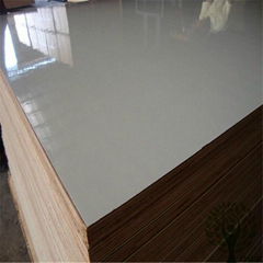 Yelintong good quality HPL plywood and flame retardent plywood for furniture