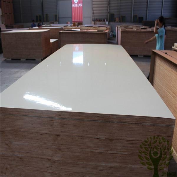 Yelintong good quality HPL plywood and flame retardent plywood for furniture 2