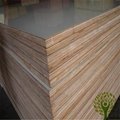 Yelintong good quality HPL plywood and flame retardent plywood for furniture 5