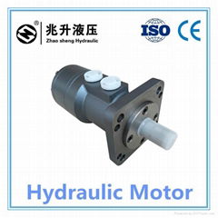 China Professional BM3 hydraulic motor,hydraulic orbit motor widely used in plas
