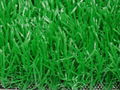 High-quality Landscaping artificial turf 1