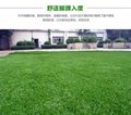 High-quality artificial grass Plastic lawn 3