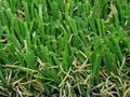 High-quality artificial turf Simulated