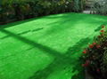 High-quality Decration artificial turf 3