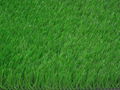 High-quality artificial turf Plastic grass 1