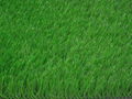 High-quality artificial turf Plastic