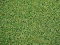 High-quality Tennis artificial turf 1