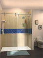 frameless glass shower door 1