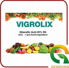 GIBBERELLIC ACID 40%SG