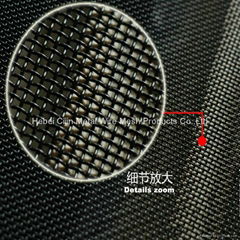 Anping supplier 0.8mm 11 mesh SS316 Security Screen