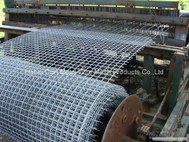 Anping manufacturer high quality 304 316 stainless steel crimped wire mesh 3