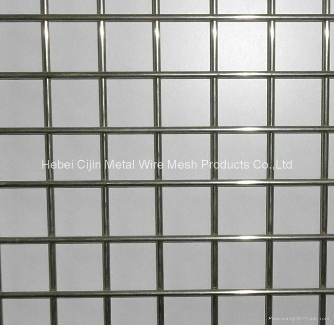 Hot sale Galvanized Welded Wire Mesh