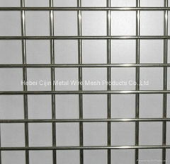 Hot sale Galvanized Welded Wire Mesh