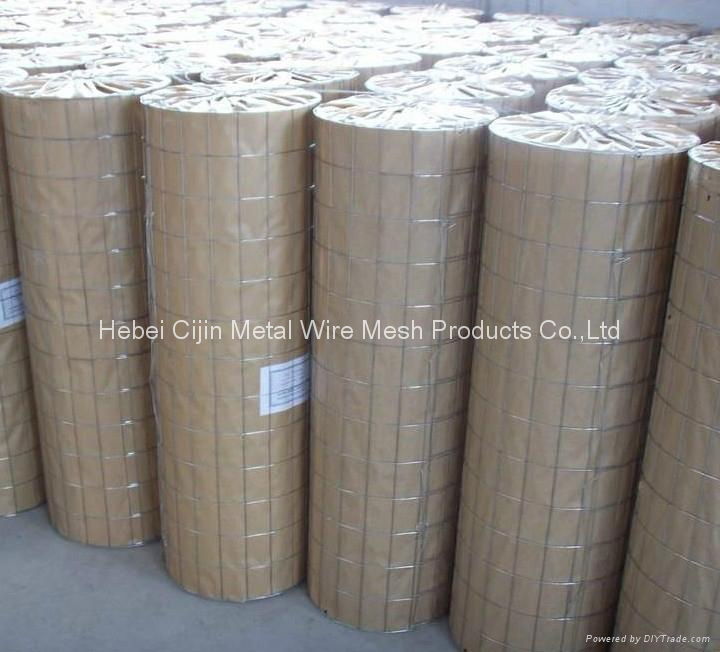 Hot sale Galvanized Welded Wire Mesh 5