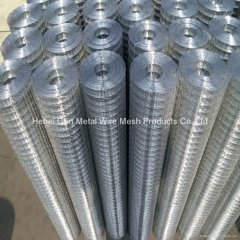 Hot sale Galvanized Welded Wire Mesh 3