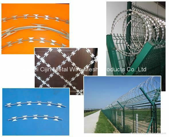 Anping Supplier High Quality Razor Barbed Wire Fence 3