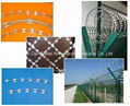 Anping Supplier High Quality Razor Barbed Wire Fence 3