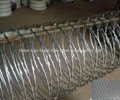 Anping Supplier High Quality Razor Barbed Wire Fence 2