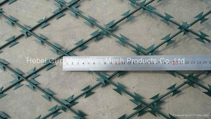 Anping Supplier High Quality Razor Barbed Wire Fence 5