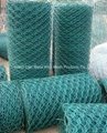 Anping Supplier High Quality Hexagonal Wire Netting 5