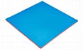 Sport Jigsaw Foam EVA Taekwondo Mats