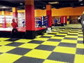 Sport Jigsaw Foam EVA Taekwondo Mats 5