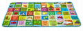 Soft Plastic Baby Crawling Mats With Fruits Letters 