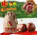 fresh chestnut accept order 3