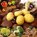 fresh chestnut accept order 4