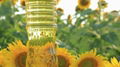 sun flower oil 2