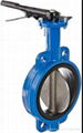 Wafer Type Butterfly Valve