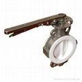 Corrosion resistant butterfly valve