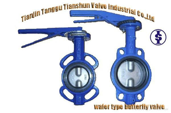 Wafer butterfly valve