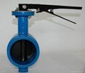 Grooved butterfly valve 1